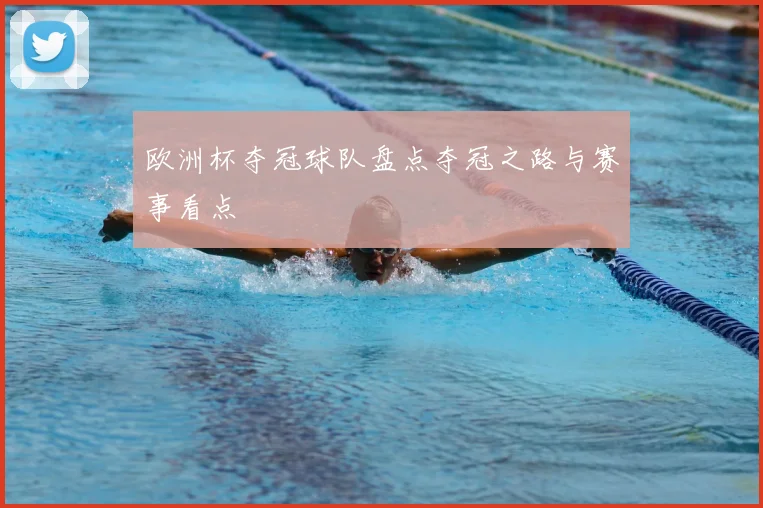 欧洲杯夺冠球队盘点夺冠之路与赛事看点