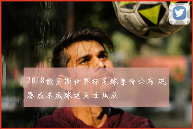 2018俄罗斯世界杯足球票价公布 观赛成本成球迷关注焦点